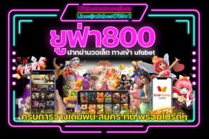 ufa800-wallet